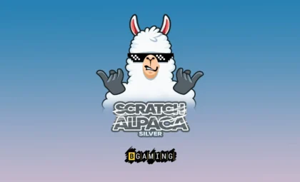 Scratch Alpaca Silver - 11
