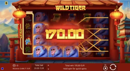 Wild Tiger - 11