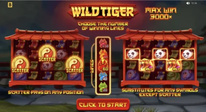 Wild Tiger - 14