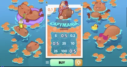 Capymania Orange - 6
