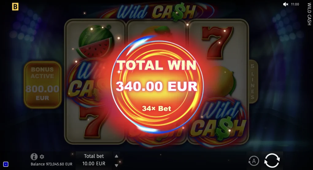 Wild Cash - 3