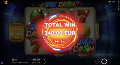 Wild Cash - 10