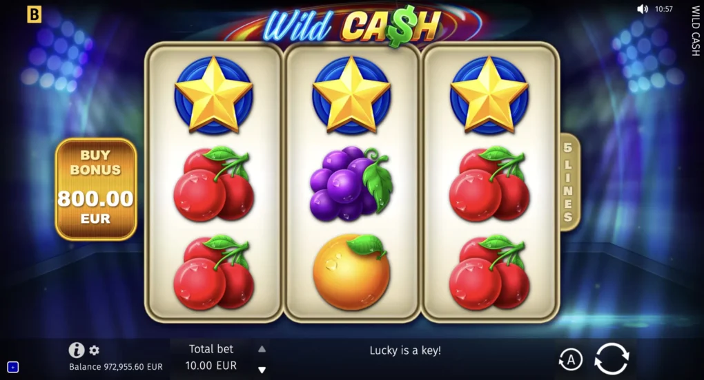 Wild Cash - 2