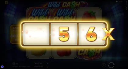 Wild Cash - 13