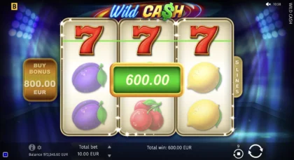 Wild Cash - 14