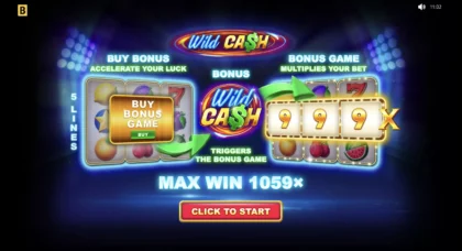 Wild Cash - 15