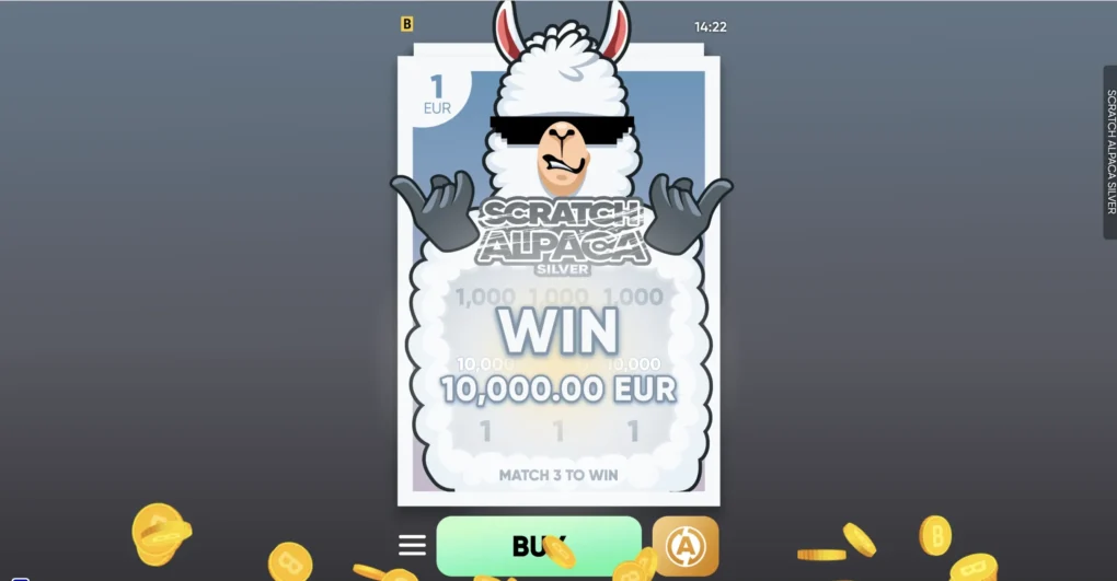 Scratch Alpaca Silver - 3
