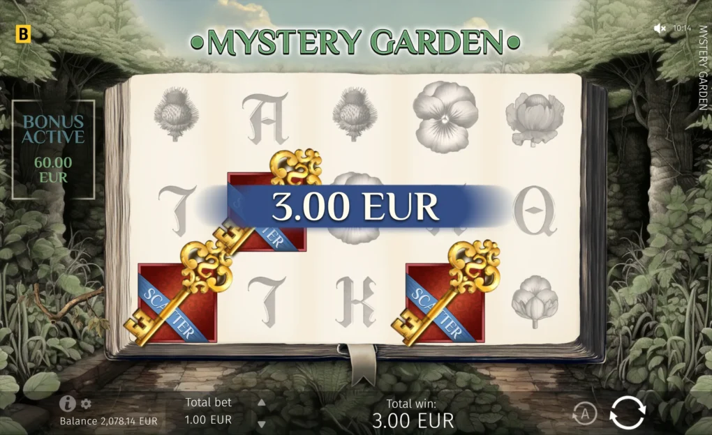 Mystery Garden - 6