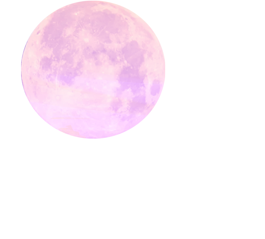 Página de inicio - 289