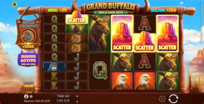Grand Buffalo Hold and Win - 17