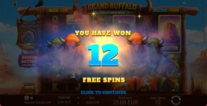 Grand Buffalo Hold and Win - 15