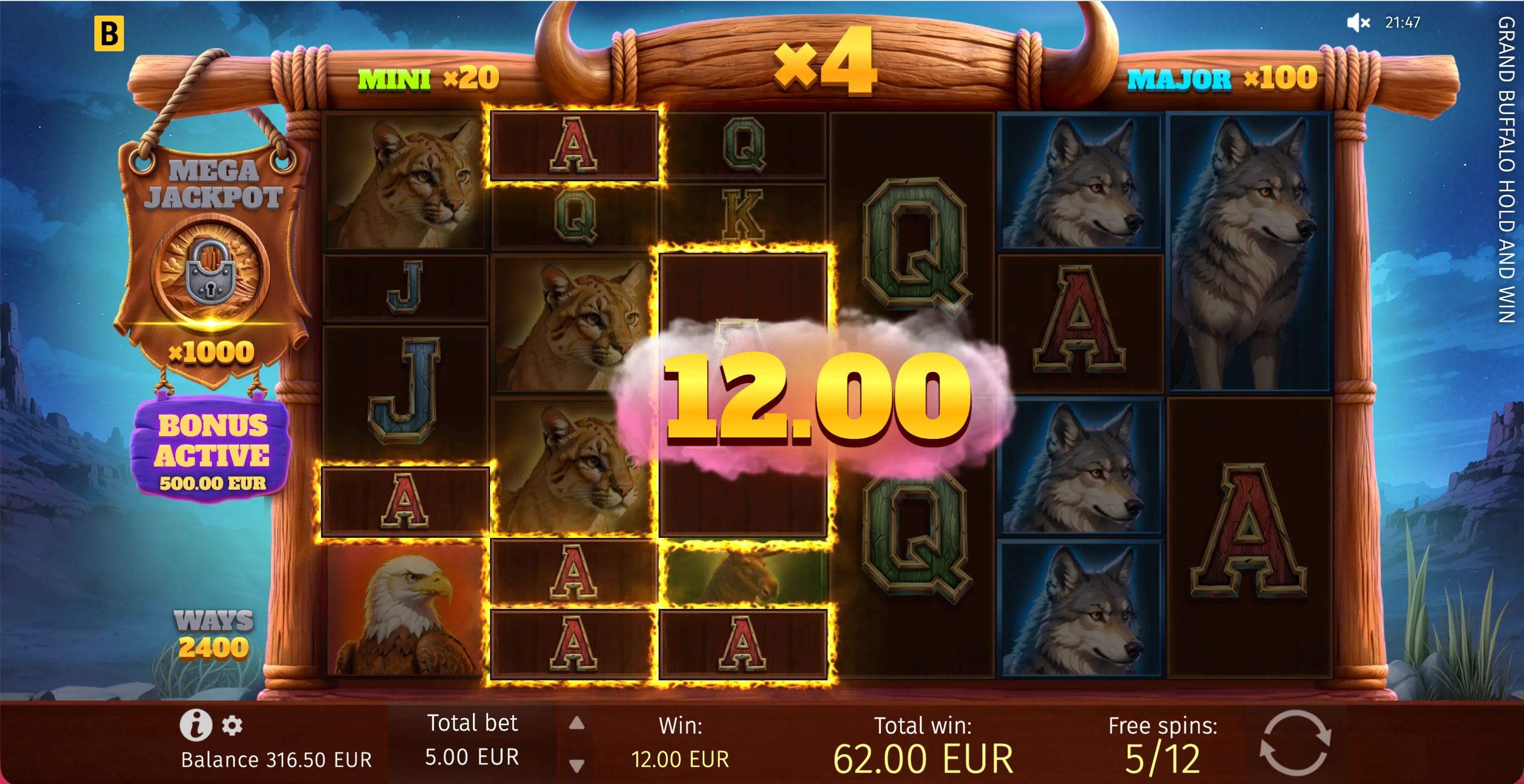 Grand Buffalo Hold and Win - 6